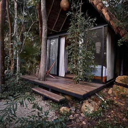 Kapok Bacalar - Plant Based Hotel Buenavista  외부 사진