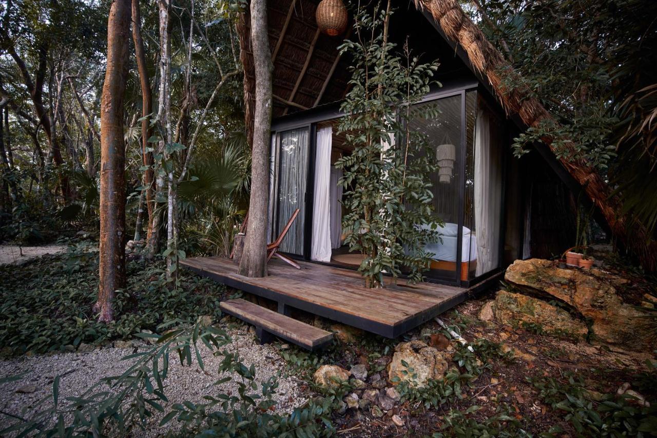 Kapok Bacalar - Plant Based Hotel Buenavista  외부 사진