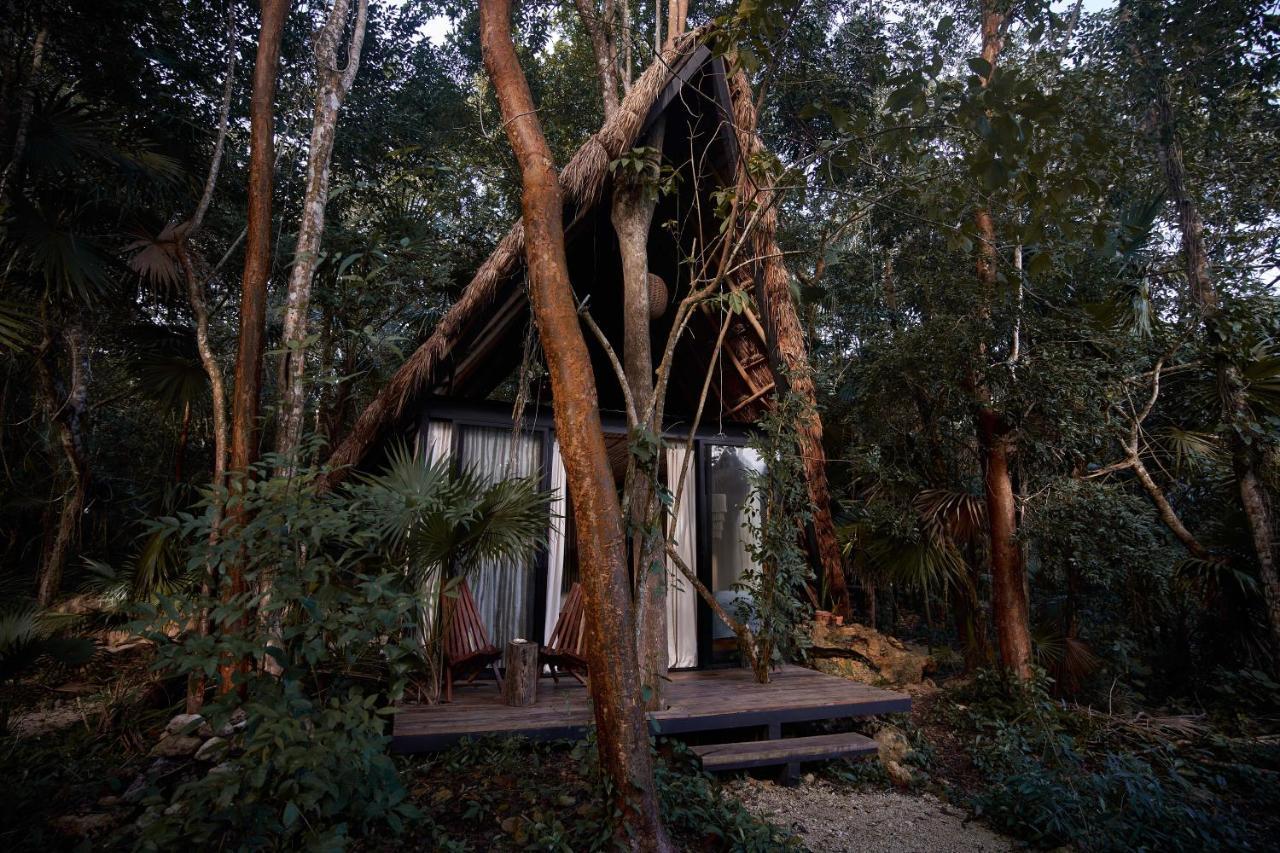 Kapok Bacalar - Plant Based Hotel Buenavista  외부 사진
