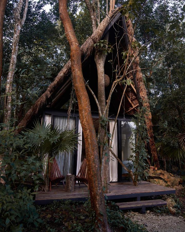Kapok Bacalar - Plant Based Hotel Buenavista  외부 사진