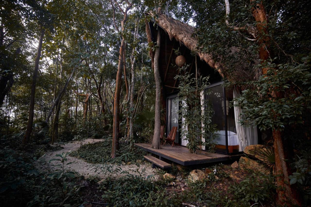 Kapok Bacalar - Plant Based Hotel Buenavista  외부 사진